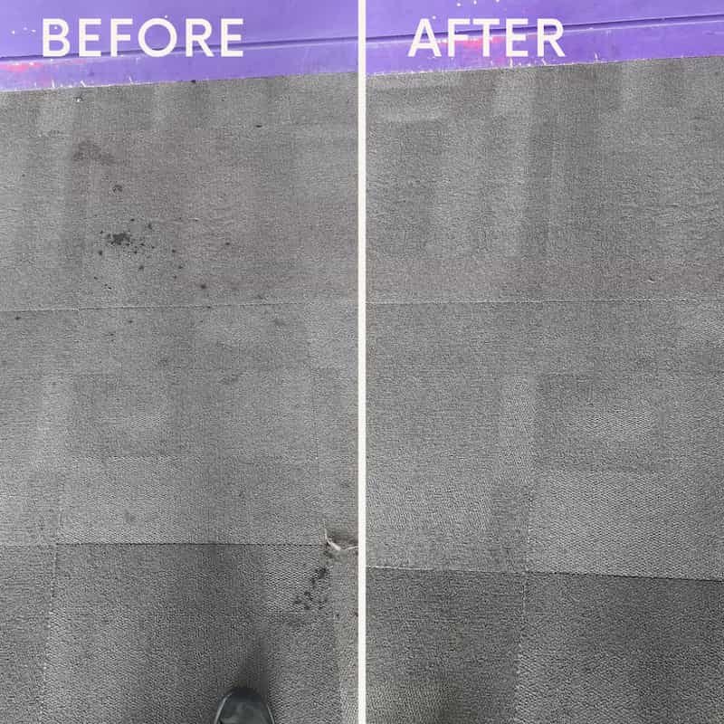 Professional carpet cleaning results — East Midlands